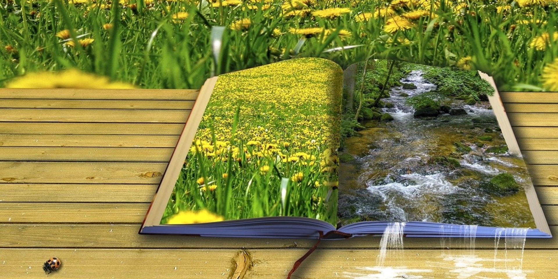 Disfruta de un apasionado recital de poesía